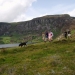 Arenig Fawr approach